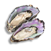 oysters_l