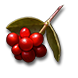 ryngr_berries_l