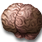 vithrack brain s