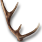stag_horn_s