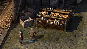 the-shipwrights-plight-quest-pillars-of-eternity-2-wiki-guide